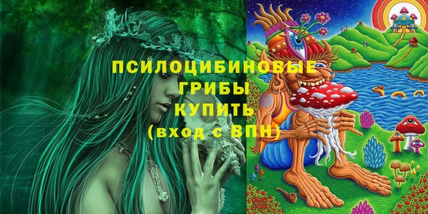 стаф Абинск