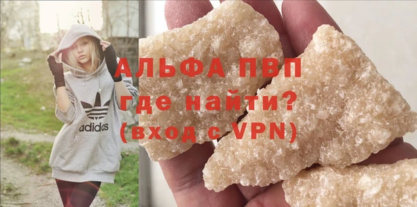 стаф Абинск
