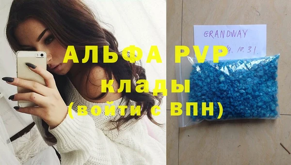стаф Абинск