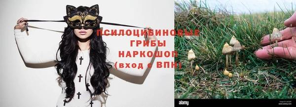 каннабис Абдулино