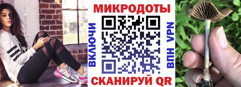 Псилоцибиновые грибы Psilocybine cubensis  Старый Крым 